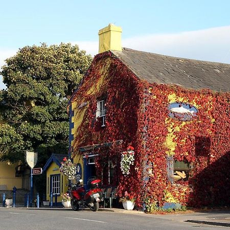 Kingfisher Lodge & Pub Castleconnell Екстериор снимка