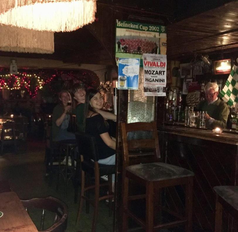 Kingfisher Lodge & Pub Castleconnell Екстериор снимка