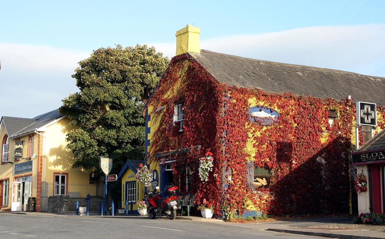 Kingfisher Lodge & Pub Castleconnell Екстериор снимка
