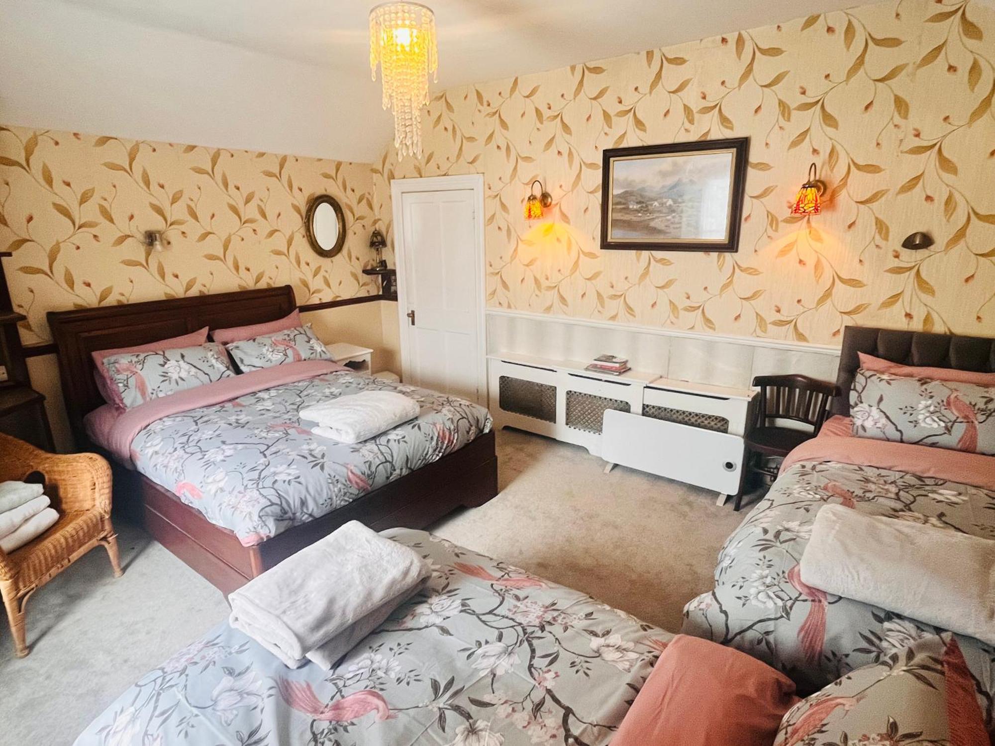 Kingfisher Lodge & Pub Castleconnell Стая снимка